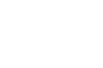 Design-sem-nome-2025-07-04T101152.573.png